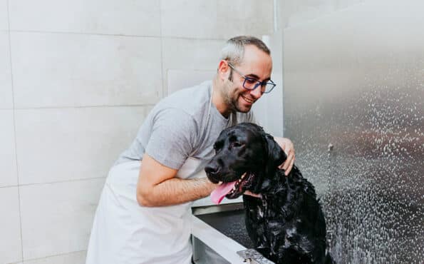 groomer-bathing-black-dog
