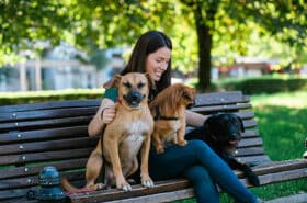 Woman sitting on a park bench smiling while petting three dogs on a sunny day.