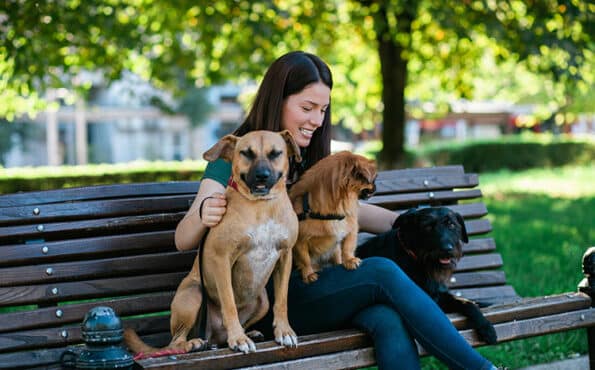 Woman sitting on a park bench smiling while petting three dogs on a sunny day.