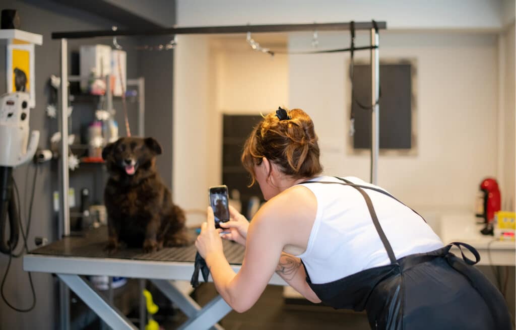 Pet business owner takes photos of her freshly groomed dog on her phone for her dog grooming business