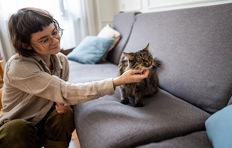  Female pet sitter cuddling joyful cat on sofa.