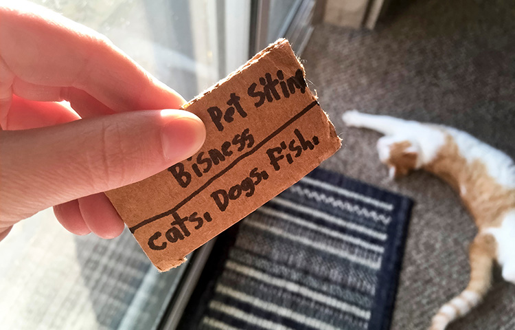 Hand holding pet sitting business card with cat stretching in background