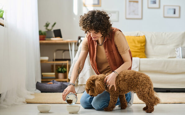 Young woman pouring food into bowl and feeding dog in the living room at home