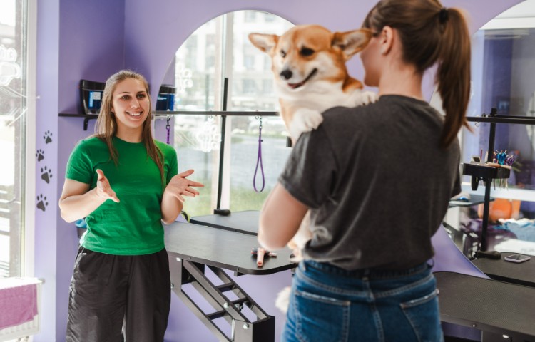Smiling woman groomer talking with lady owner of cute corgi dog after grooming.