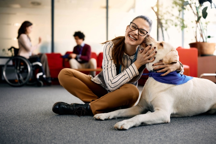 Happy woman embraces her Labrador therapy dog and having fun in office. 