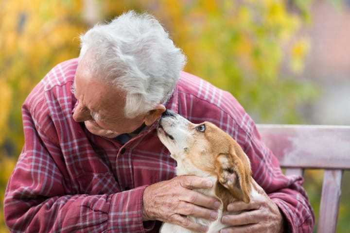 Old man with dog on bench in park 