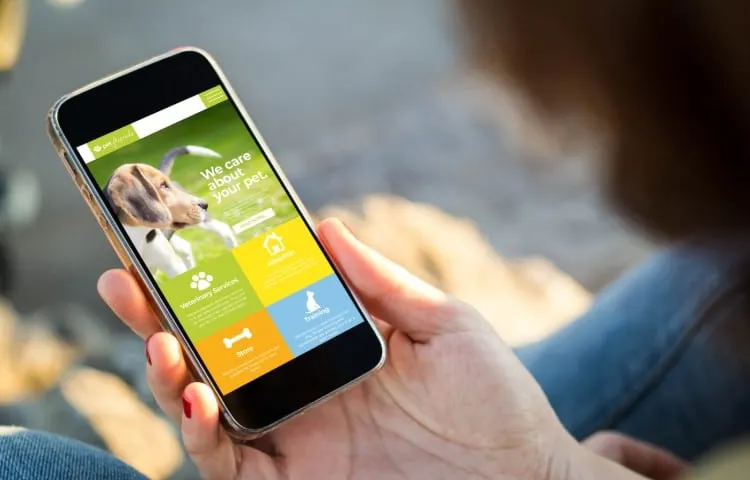 woman sitting in the street holding her smartphone showing pet website 