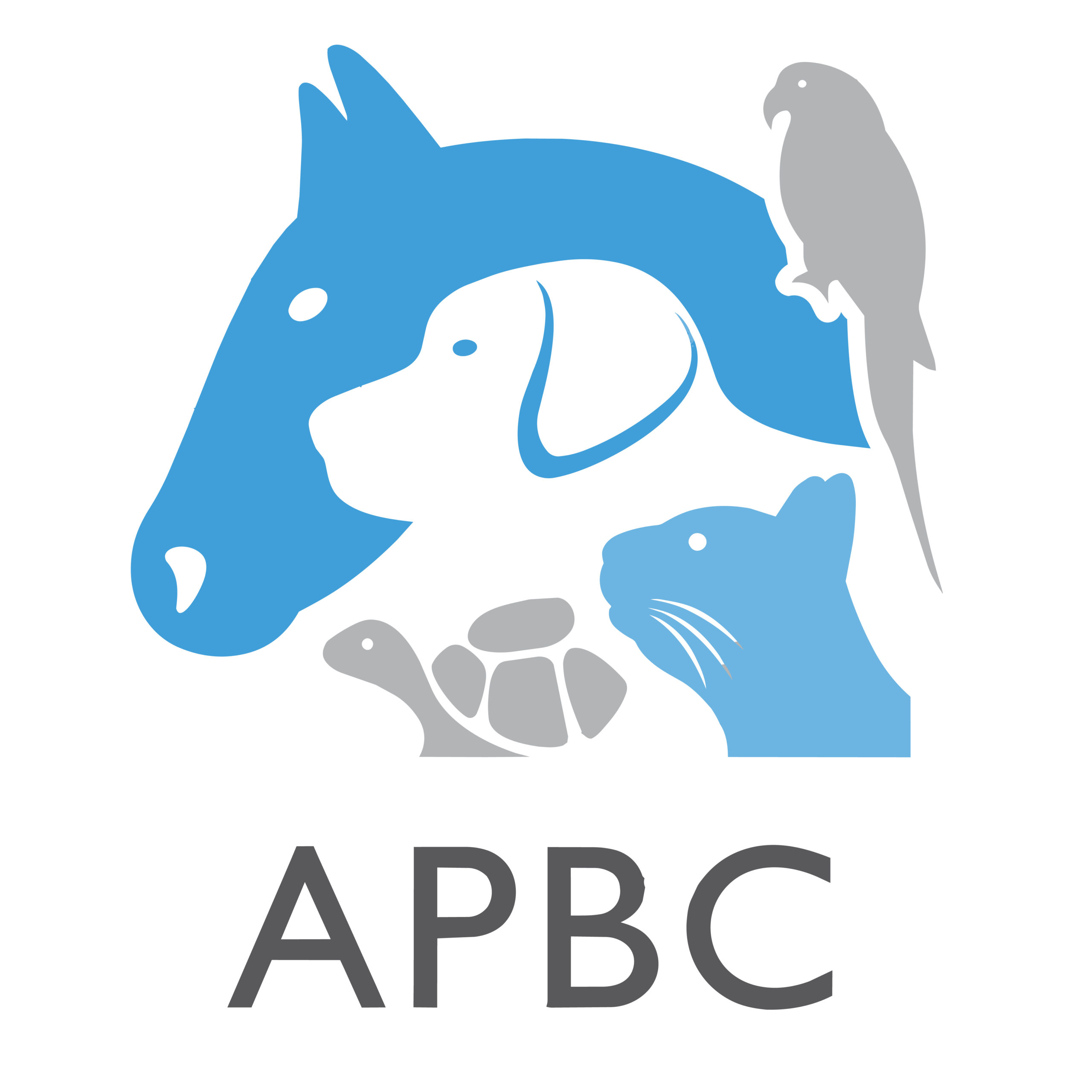 Pet business insurance, for pet people