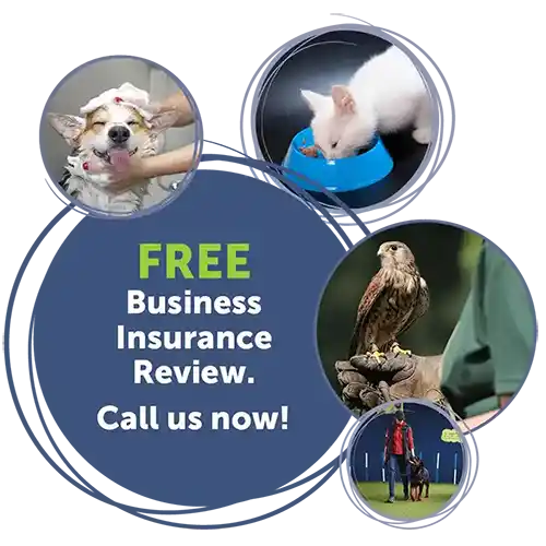 Pet business insurance, for pet people